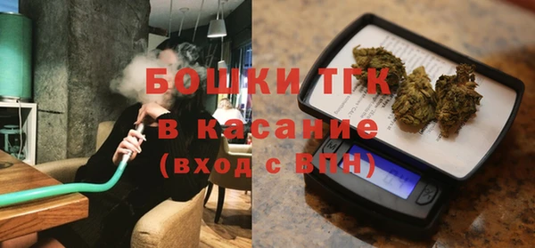 индика Богородицк